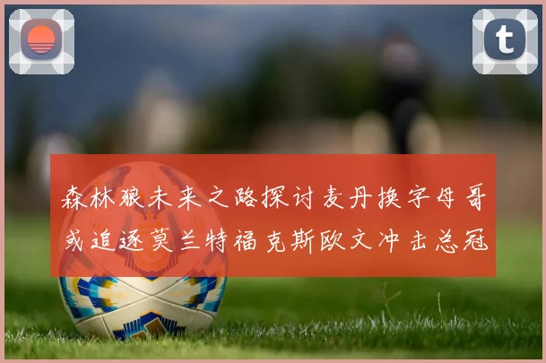 森林狼未来之路探讨麦丹换字母哥或追逐莫兰特福克斯欧文冲击总冠军
